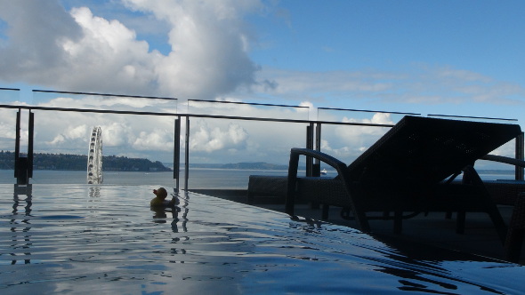 Rooftop Pool at Four Seasons Seattle