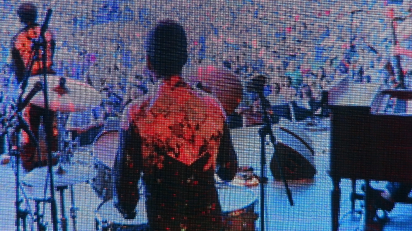 Charles Bradley on the Big Screen at the 2013 Burnaby Blues and Roots Festival