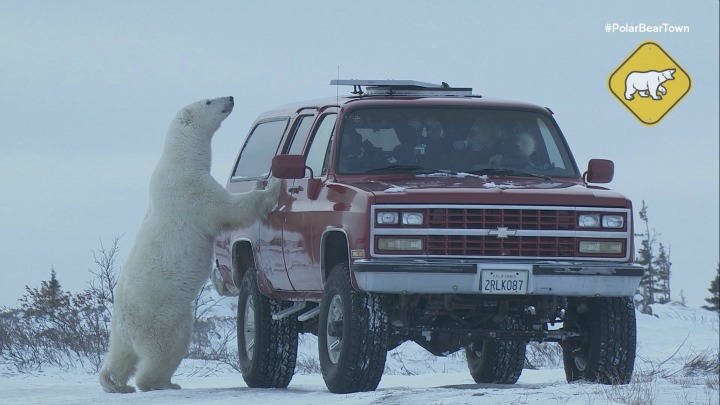 Life in Churchill, Manitoba