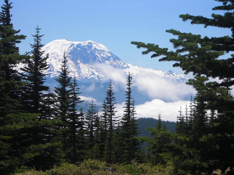 Mount Rainier