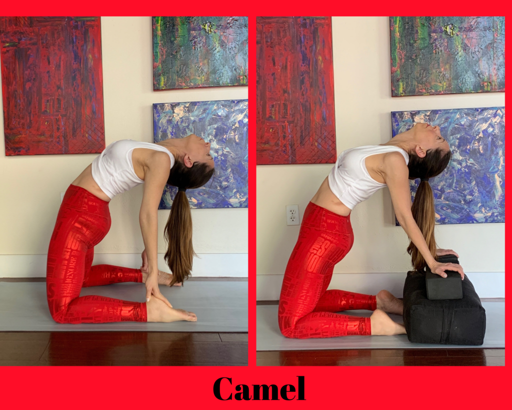 camel yoga pose